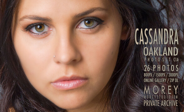 New gallery update erotic nude model photos by craig morey